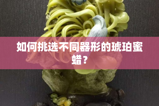 如何挑选不同器形的琥珀蜜蜡？