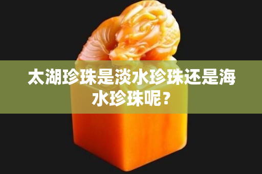 太湖珍珠是淡水珍珠还是海水珍珠呢？