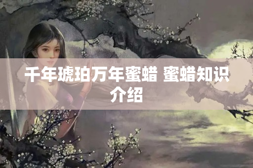千年琥珀万年蜜蜡 蜜蜡知识介绍