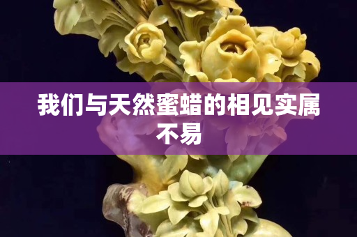 我们与天然蜜蜡的相见实属不易