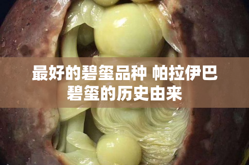 最好的碧玺品种 帕拉伊巴碧玺的历史由来
