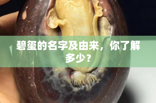 碧玺的名字及由来，你了解多少？