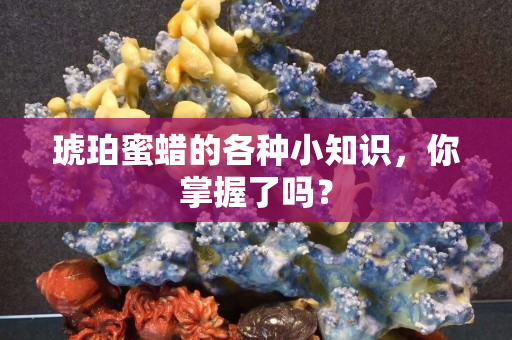 琥珀蜜蜡的各种小知识，你掌握了吗？