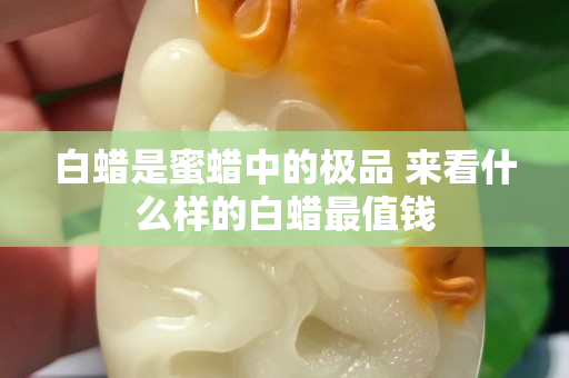 白蜡是蜜蜡中的极品 来看什么样的白蜡最值钱