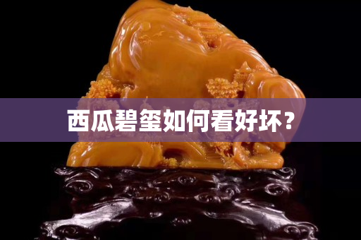西瓜碧玺如何看好坏？