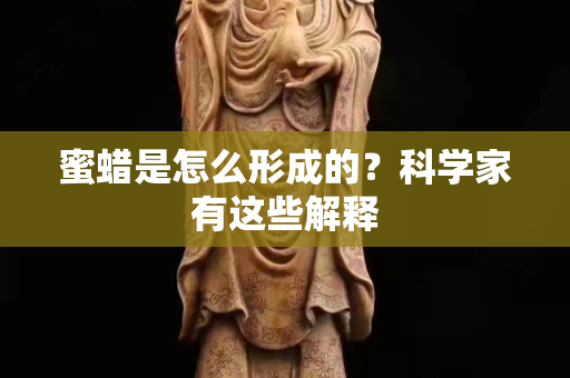 蜜蜡是怎么形成的？科学家有这些解释