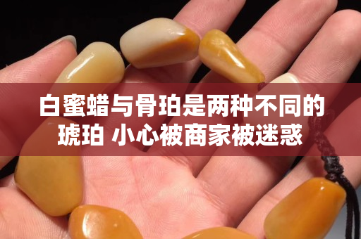 白蜜蜡与骨珀是两种不同的琥珀 小心被商家被迷惑