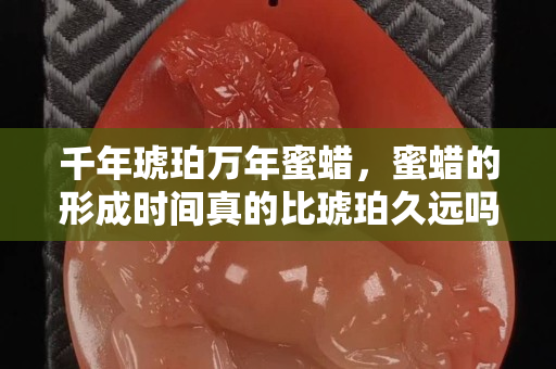 千年琥珀万年蜜蜡，蜜蜡的形成时间真的比琥珀久远吗？