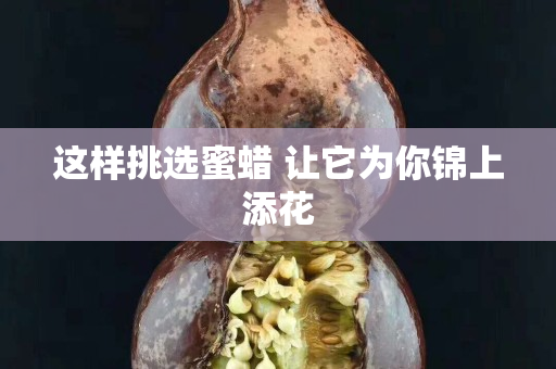 这样挑选蜜蜡 让它为你锦上添花