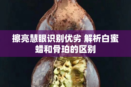 擦亮慧眼识别优劣 解析白蜜蜡和骨珀的区别