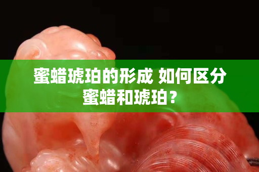 蜜蜡琥珀的形成 如何区分蜜蜡和琥珀？