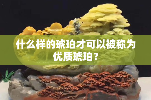 什么样的琥珀才可以被称为优质琥珀？