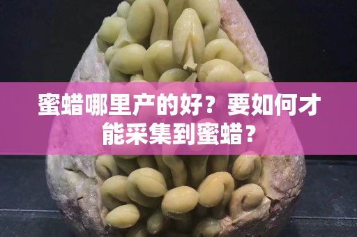 蜜蜡哪里产的好？要如何才能采集到蜜蜡？