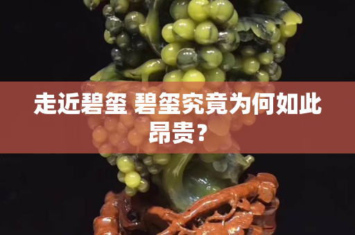 走近碧玺 碧玺究竟为何如此昂贵？