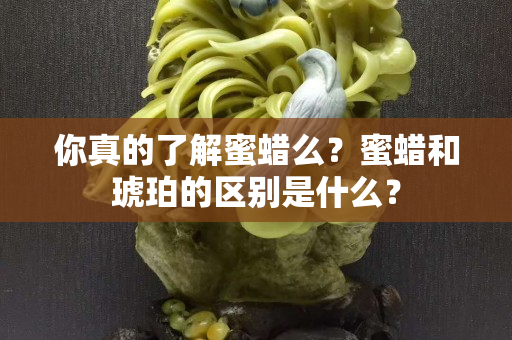 你真的了解蜜蜡么？蜜蜡和琥珀的区别是什么？