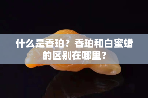 什么是香珀？香珀和白蜜蜡的区别在哪里？