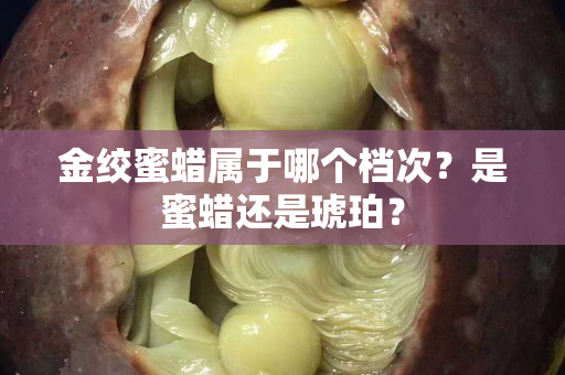 金绞蜜蜡属于哪个档次？是蜜蜡还是琥珀？