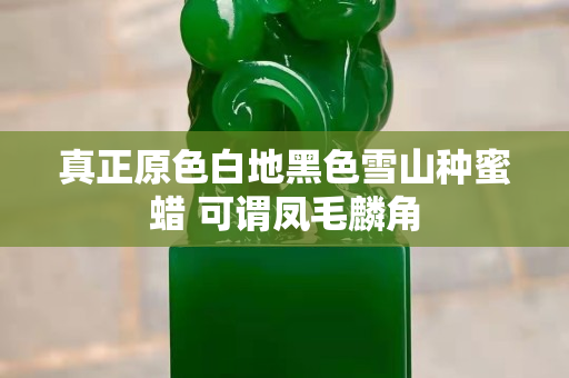 真正原色白地黑色雪山种蜜蜡 可谓凤毛麟角