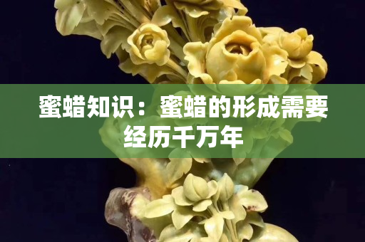 蜜蜡知识：蜜蜡的形成需要经历千万年