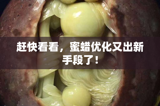 赶快看看，蜜蜡优化又出新手段了！