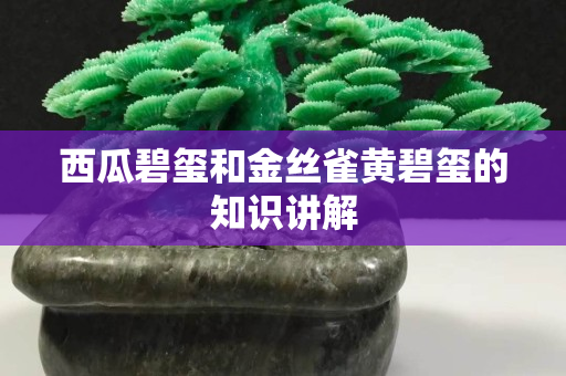 西瓜碧玺和金丝雀黄碧玺的知识讲解