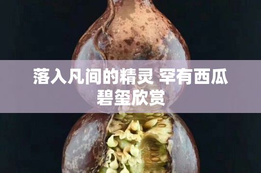 落入凡间的精灵 罕有西瓜碧玺欣赏