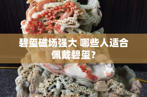 碧玺磁场强大 哪些人适合佩戴碧玺？