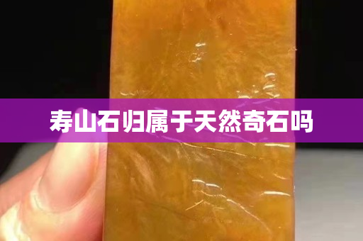 寿山石归属于天然奇石吗