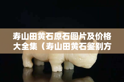 寿山田黄石原石图片及价格大全集（寿山田黄石鉴别方法）