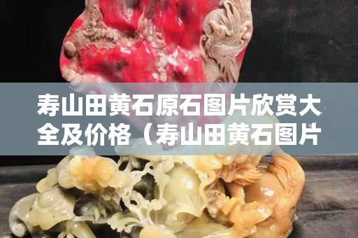 寿山田黄石原石图片欣赏大全及价格（寿山田黄石图片大全 真品）