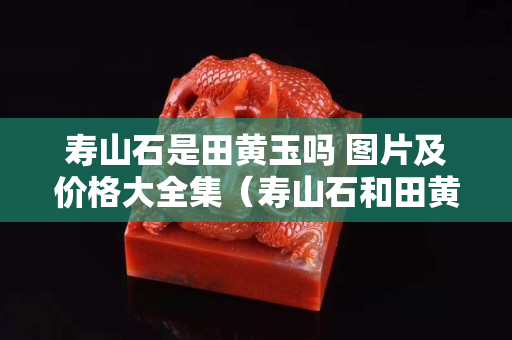 寿山石是田黄玉吗 图片及价格大全集（寿山石和田黄的区别是什么）