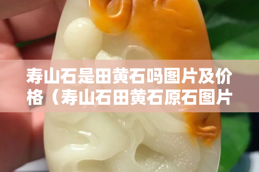 寿山石是田黄石吗图片及价格（寿山石田黄石原石图片）