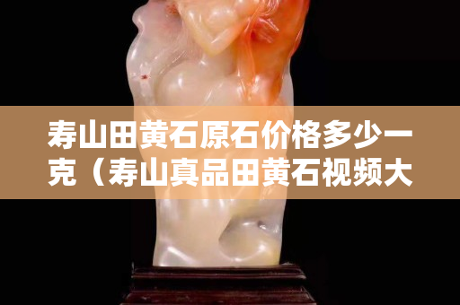 寿山田黄石原石价格多少一克（寿山真品田黄石视频大全）