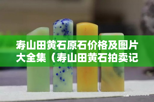 寿山田黄石原石价格及图片大全集（寿山田黄石拍卖记录）