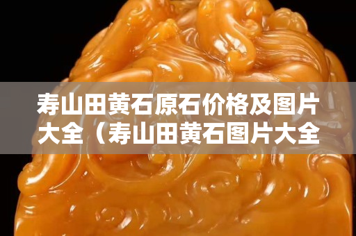 寿山田黄石原石价格及图片大全（寿山田黄石图片大全 真品）