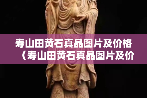 寿山田黄石真品图片及价格（寿山田黄石真品图片及价格表）