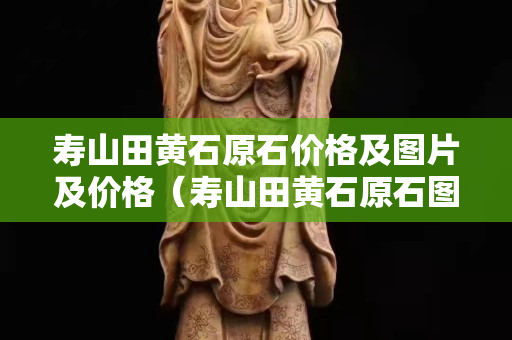 寿山田黄石原石价格及图片及价格（寿山田黄石原石图片刚出土的田黄）