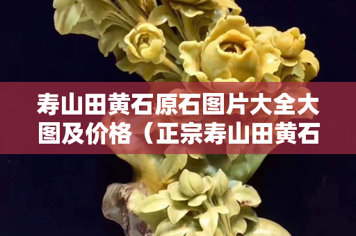 寿山田黄石原石图片大全大图及价格（正宗寿山田黄石）