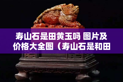 寿山石是田黄玉吗 图片及价格大全图（寿山石是和田玉吗）