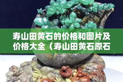 特価買取 寿山石 田黄 蝉 置物 縁起物 手彫り 原石 - avalon-computers