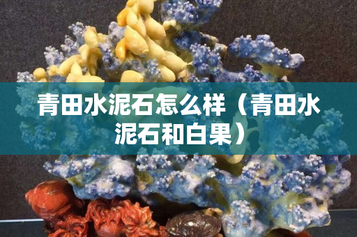 青田水泥石怎么样（青田水泥石和白果）