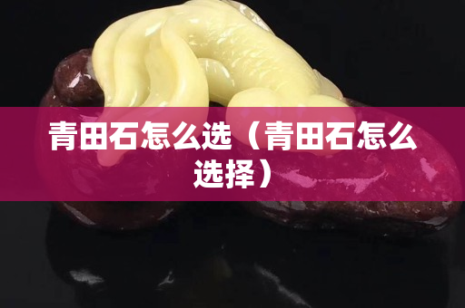青田石怎么选（青田石怎么选择）