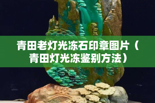 青田老灯光冻石印章图片（青田灯光冻鉴别方法）