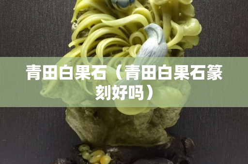 青田白果石（青田白果石篆刻好吗）
