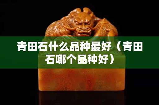 青田石什么品种最好（青田石哪个品种好）