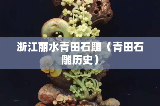 浙江丽水青田石雕（青田石雕历史）
