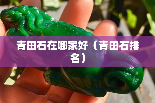 青田石在哪家好（青田石排名）