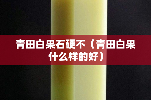 青田白果石硬不（青田白果什么样的好）