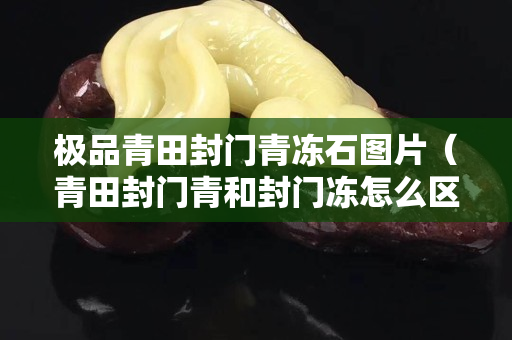 极品青田封门青冻石图片（青田封门青和封门冻怎么区分）
