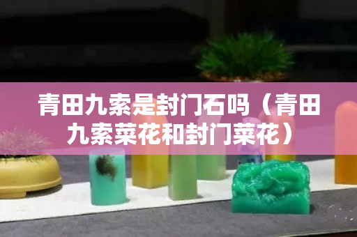 青田九索是封门石吗（青田九索菜花和封门菜花）